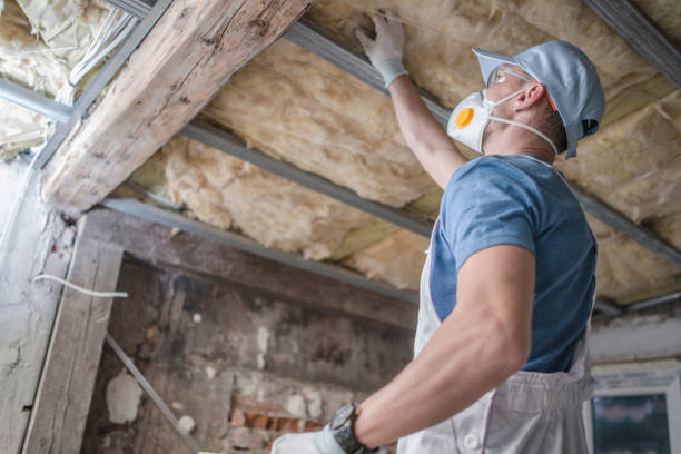 Best DIY Insulation Kits and Guidance in Latham, NY